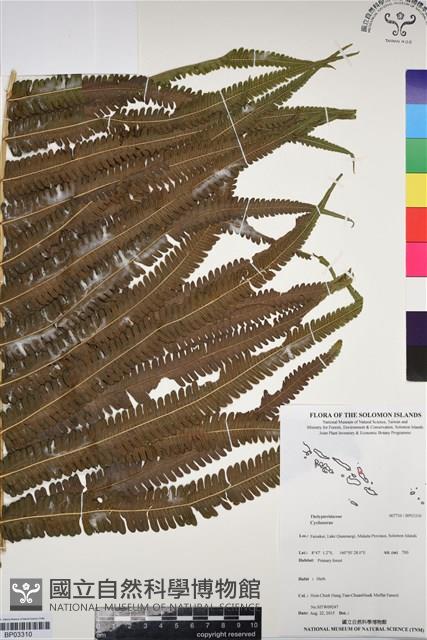 登錄號:BP03310藏品圖，第1張