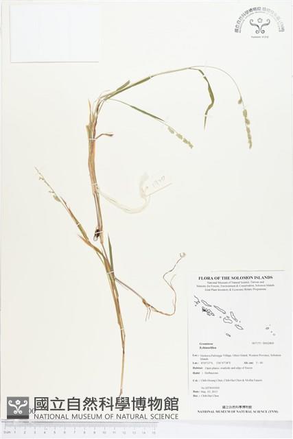 登錄號:BS02800藏品圖，第1張