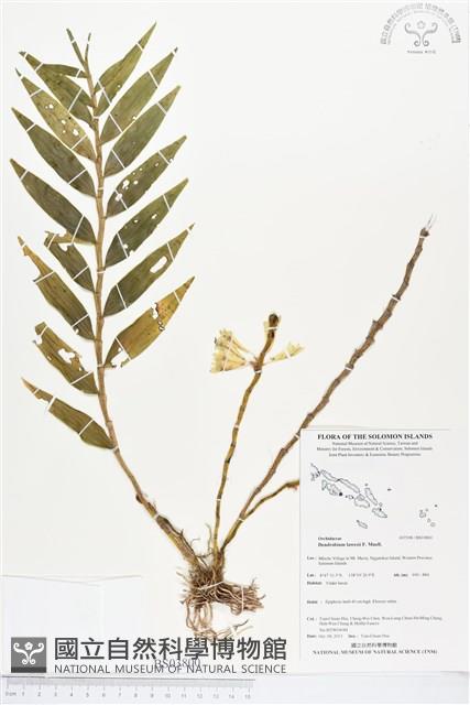 登錄號:BS03800藏品圖，第1張