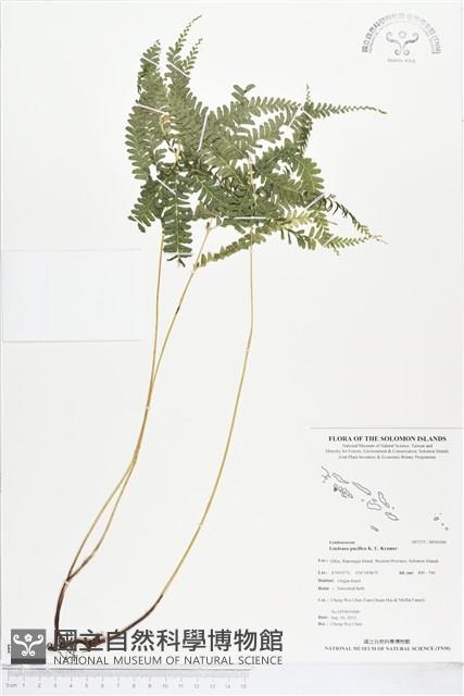 登錄號:BP01000藏品圖，第1張