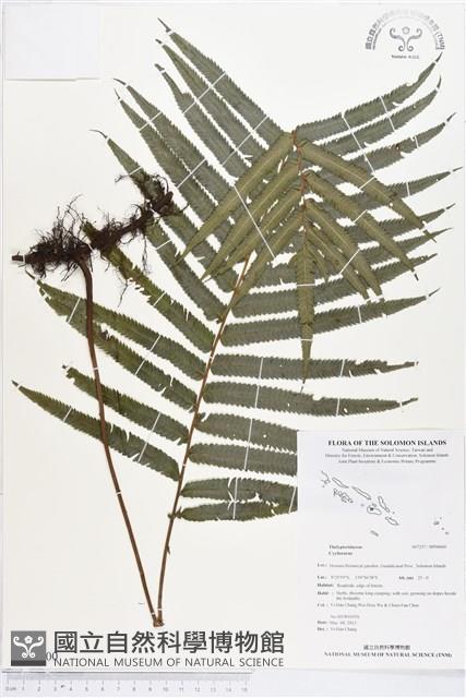 登錄號:BP00600藏品圖，第1張