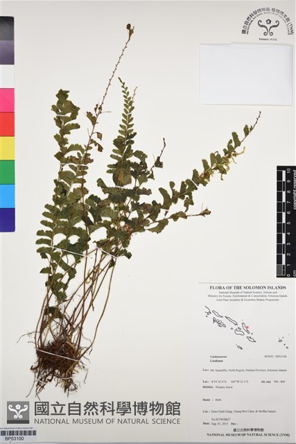 登錄號:BP03100藏品圖，第1張