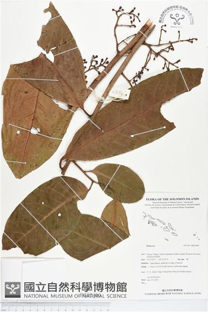 登錄號:BS02400藏品圖，第1張