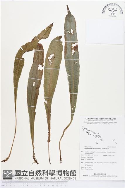 登錄號:BP00400藏品圖，第1張