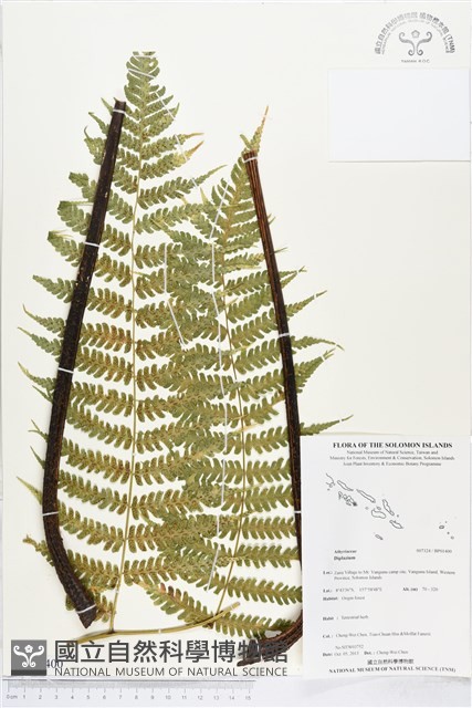 登錄號:BP01400藏品圖，第1張