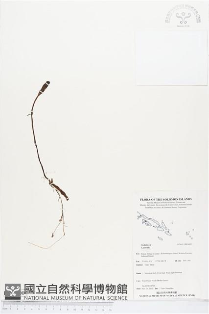 登錄號:BS04400藏品圖，第1張