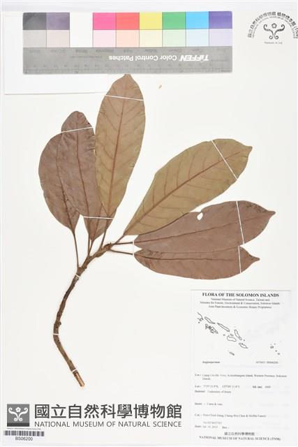 登錄號:BS06200藏品圖，第1張