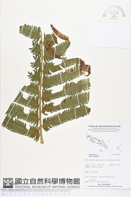 登錄號:BP02200藏品圖，第1張