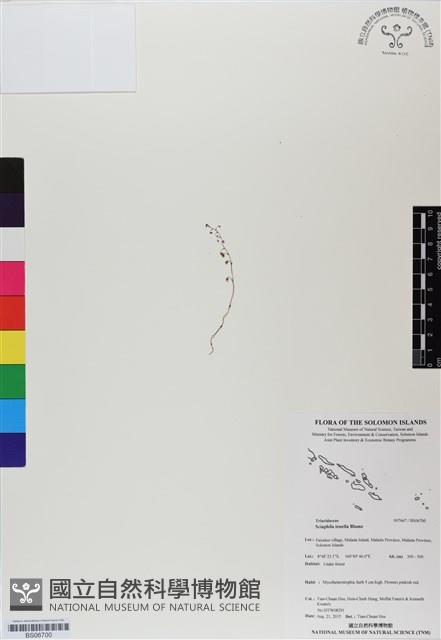 登錄號:BS06700藏品圖，第1張