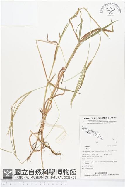 登錄號:BS02700藏品圖，第1張