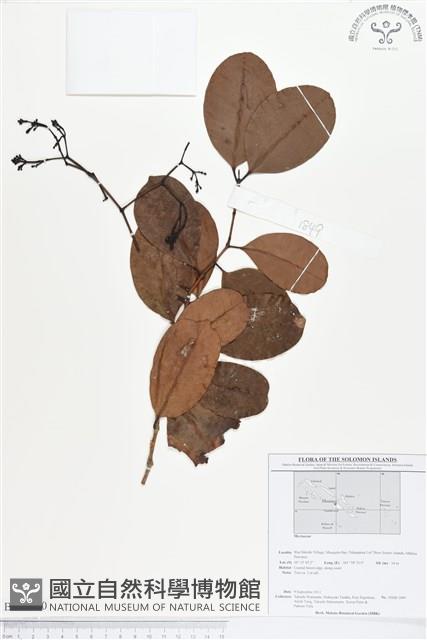 登錄號:BS01700藏品圖，第1張