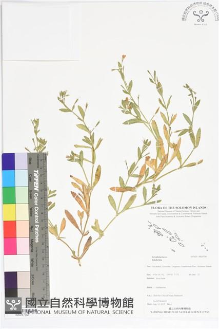 登錄號:BS05700藏品圖，第1張