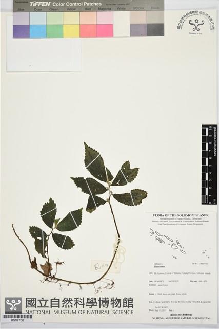 登錄號:BS07700藏品圖，第1張