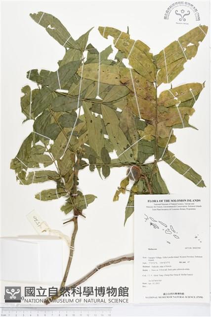 登錄號:BS02500藏品圖，第1張