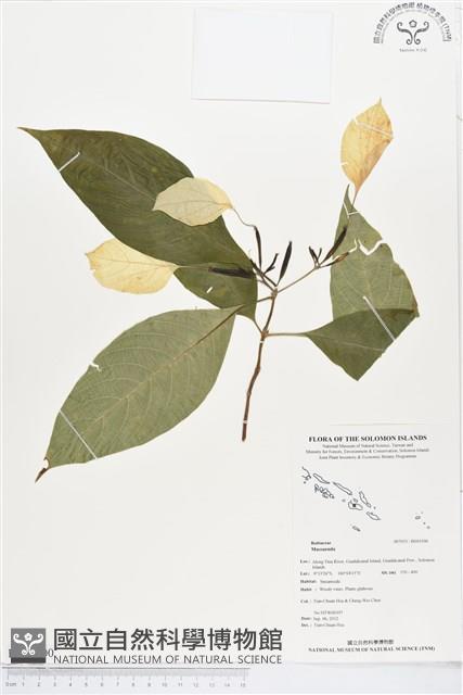 登錄號:BS01500藏品圖，第1張