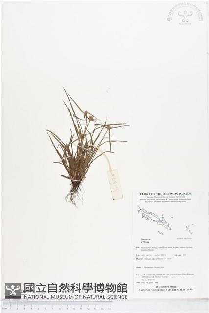 登錄號:BS05500藏品圖，第1張