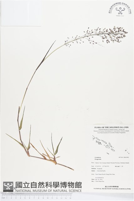 登錄號:BS01900藏品圖，第1張