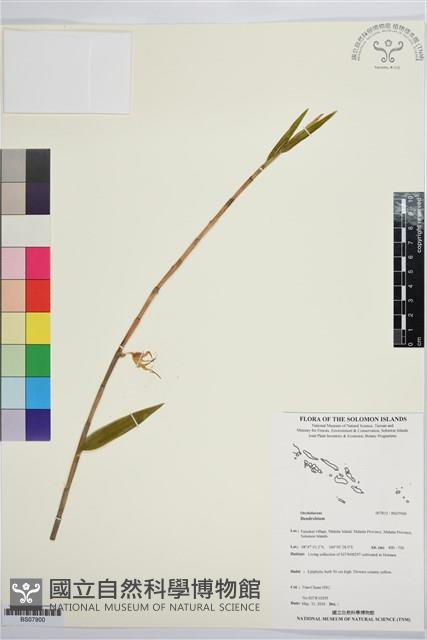 登錄號:BS07900藏品圖，第1張