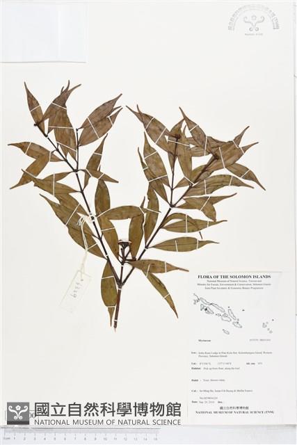 登錄號:BS05300藏品圖，第1張