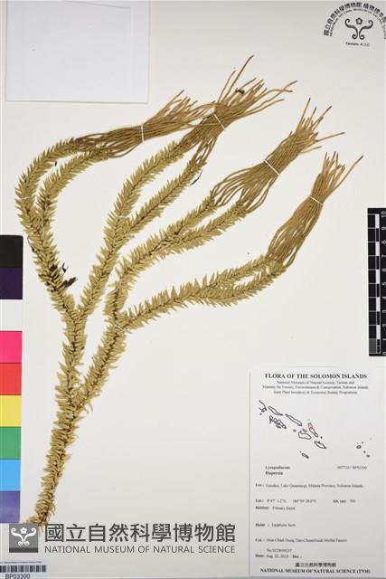 登錄號:BP03300藏品圖，第1張