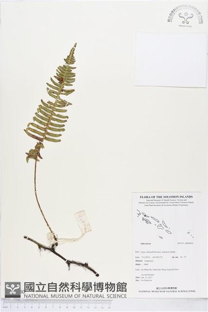 登錄號:BP00830藏品圖，第1張