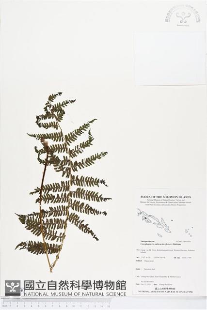 登錄號:BP01830藏品圖，第1張