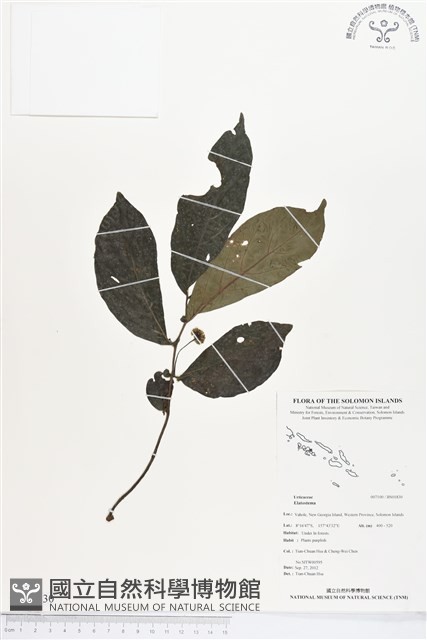 登錄號:BS01830藏品圖，第1張