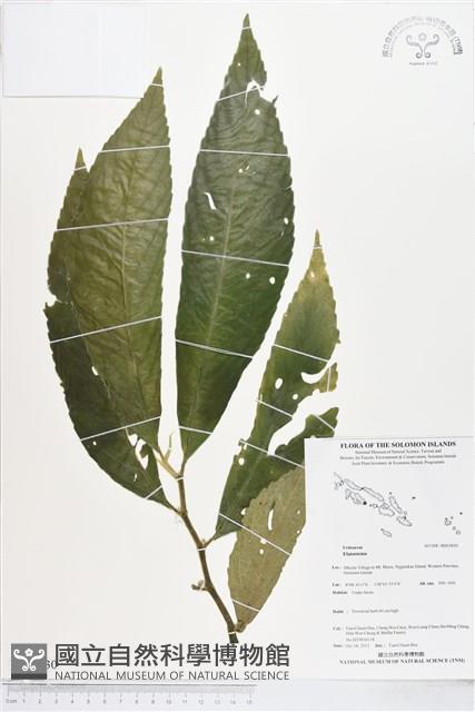 登錄號:BS03830藏品圖，第1張