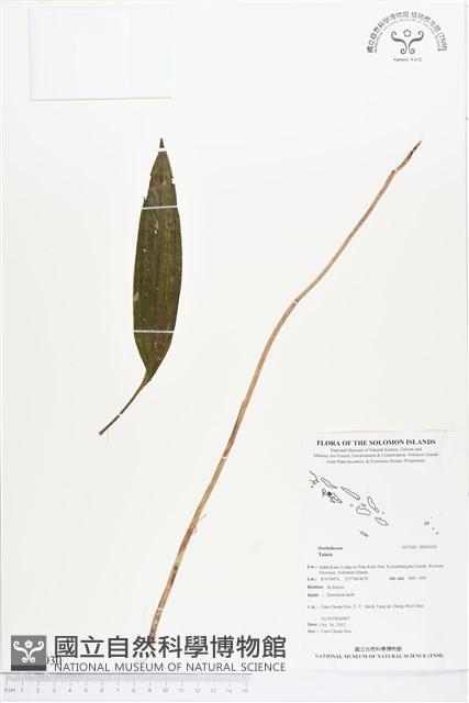 登錄號:BS02030藏品圖，第1張