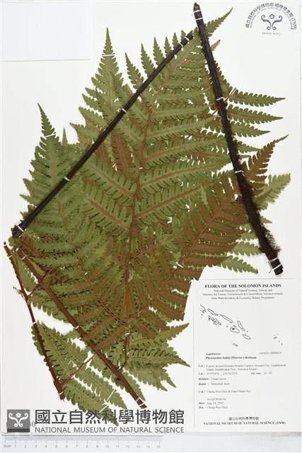 登錄號:BP00030藏品圖，第1張