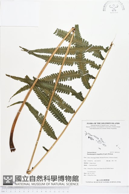 登錄號:BP01030藏品圖，第1張