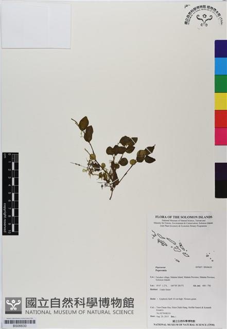登錄號:BS06630藏品圖，第1張