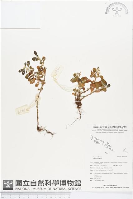 登錄號:BS02630藏品圖，第1張