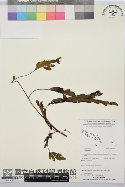 登錄號:BS07630藏品圖，第1張