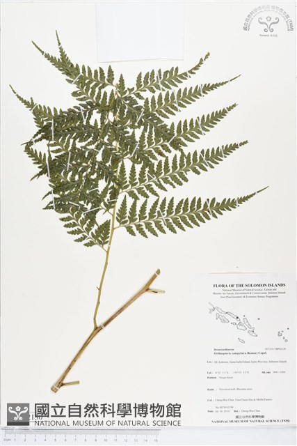 登錄號:BP02130藏品圖，第1張