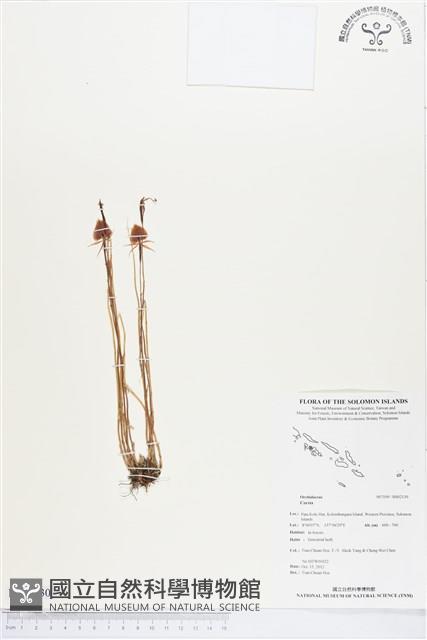 登錄號:BS02130藏品圖，第1張