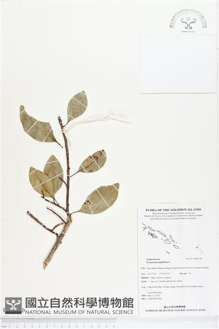 土沉香藏品圖，第1張