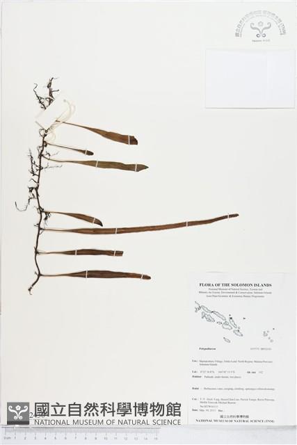 Accession Number:BP02430 Collection Image