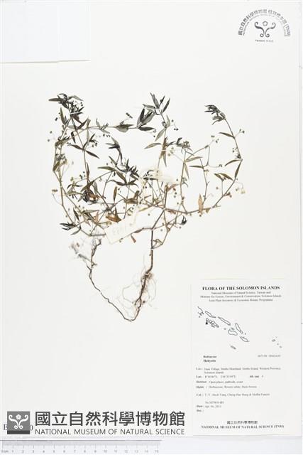 登錄號:BS02430藏品圖，第1張