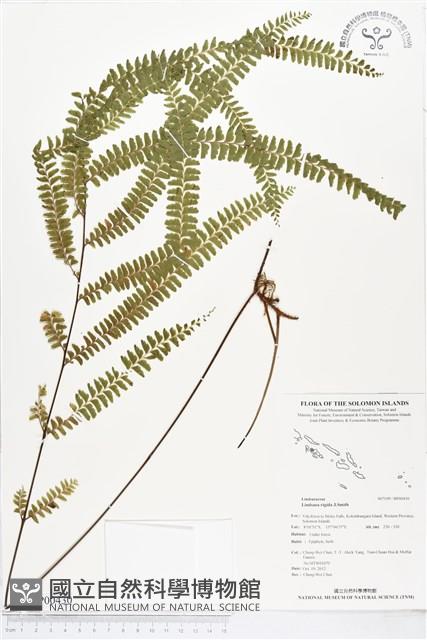 登錄號:BP00430藏品圖，第1張