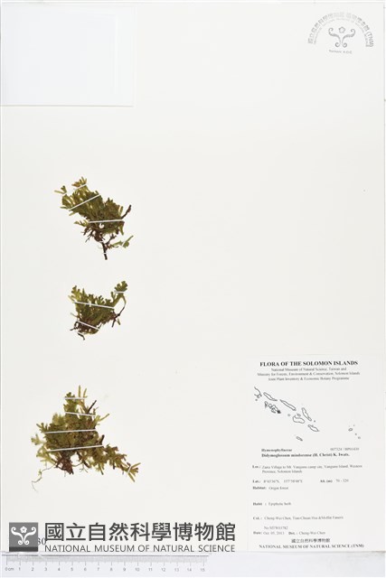 登錄號:BP01430藏品圖，第1張