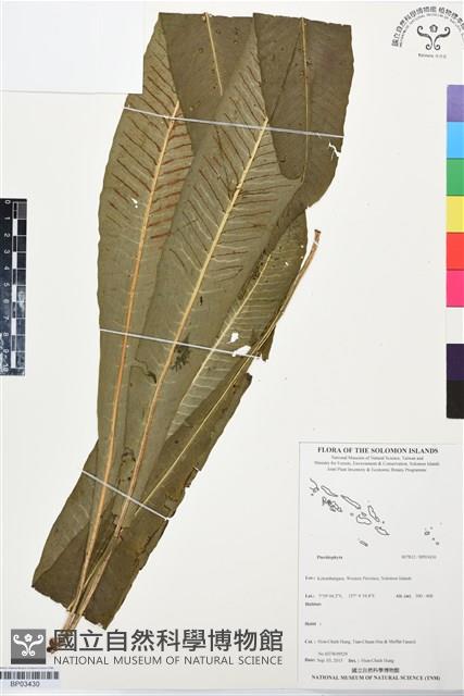 登錄號:BP03430藏品圖，第1張