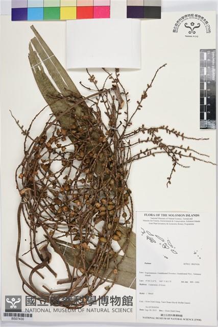 登錄號:BS07430藏品圖，第1張