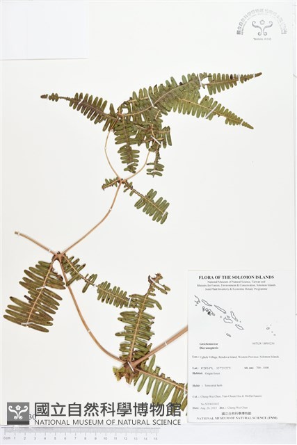 登錄號:BP01230藏品圖，第1張