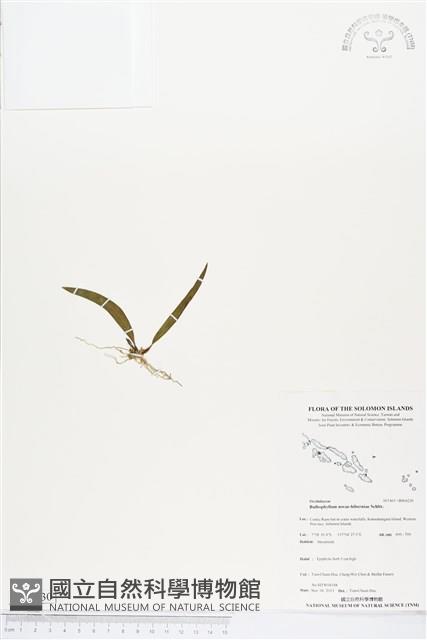 登錄號:BS04230藏品圖，第1張