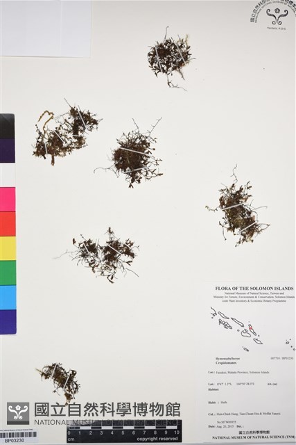登錄號:BP03230藏品圖，第1張