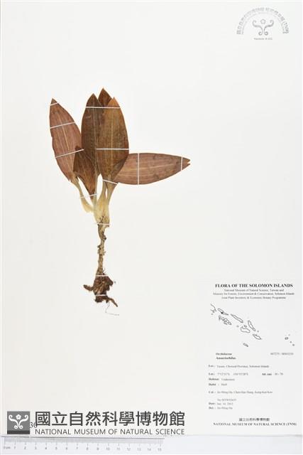 登錄號:BS03230藏品圖，第1張