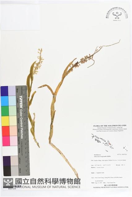 登錄號:BS07230藏品圖，第1張