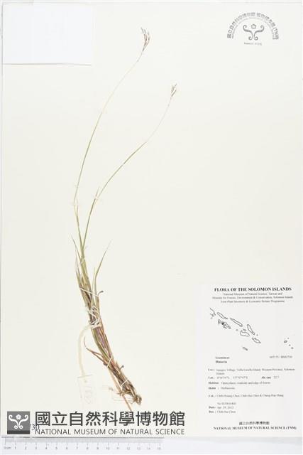 登錄號:BS02730藏品圖，第1張