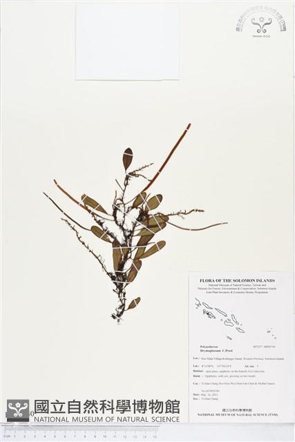 登錄號:BP00730藏品圖，第1張